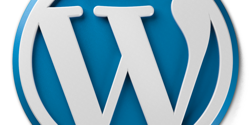 WordPress (CMS) Customizations